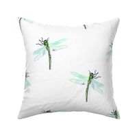 Vintage Insect Dragonfly on White 2