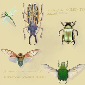 Vintage Insects on Vanillia