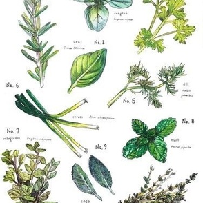 Herb Pattern with Names