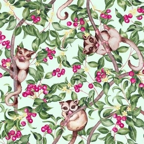 Cute baby Australian possums in lillipilli tree on mint green