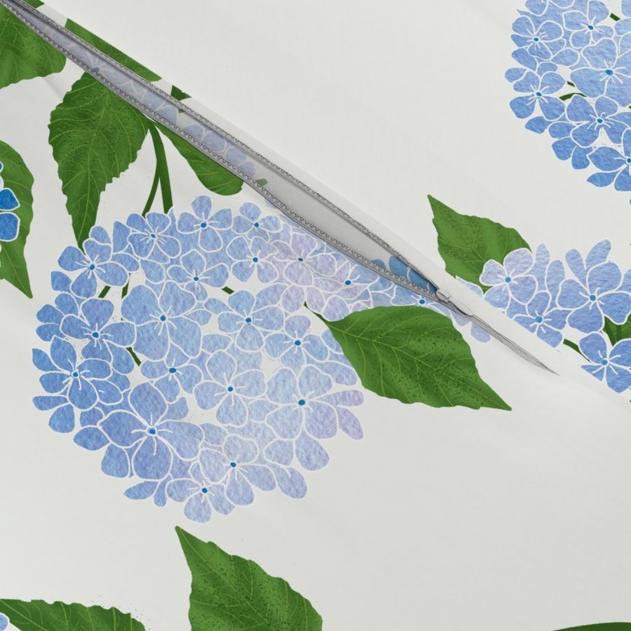 Hydrangea Blue White