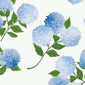 Hydrangea Blue White