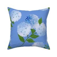 Hydrangea Cornflower Blue