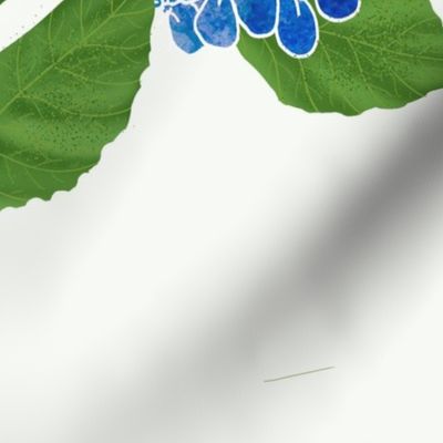 Hydrangea Blue White Large