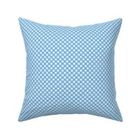  Small Diagonal  light blue and white buffalo check 