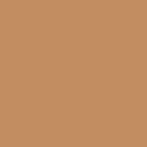 Warm Light Clay Brown Solid Color Coordinates w/ Sherwin Williams Eastlake Gold SW 0009