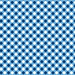  Small Diagonal blue and white buffalo check 