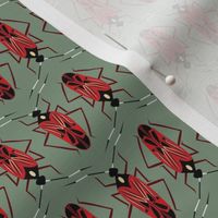 geometric bug on sage green