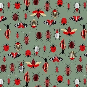 insects on gray-green