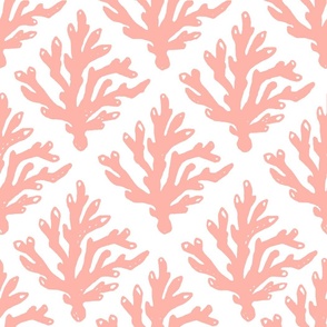 Miami Coral - Coral Pink