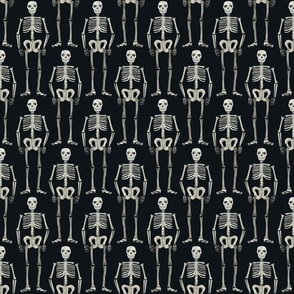 medium scale - watercolor skeletons - black