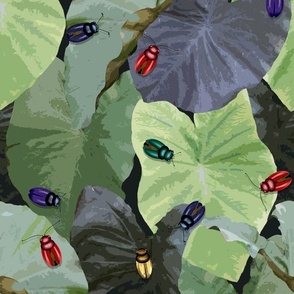 Jeweled beetles taro leaves charcoal