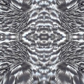 DU-B CHICKEN FEATHERS ABSTRACT 21-MIRROR