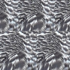 DU-B CHICKEN FEATHERS ABSTRACT 21-HALF BRICK