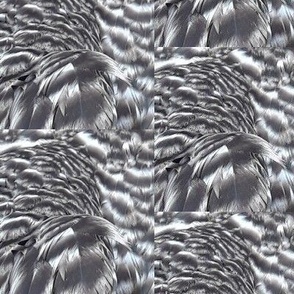 DU-B CHICKEN FEATHERS ABSTRACT 21-HALF DROP