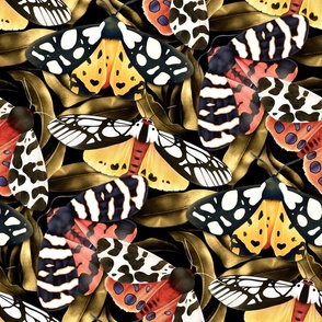 Garden Tiger Moths - golden bronze leaves 