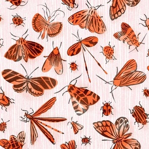 large scale Fifties Pen and Ink Bugs / orange on pinkbackground