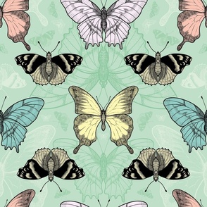 Butterfly vintage retro