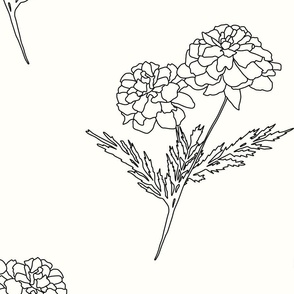 Marigold Line Art in Black and White