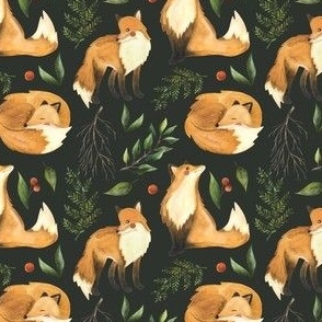 Foxes in the forest on a black background