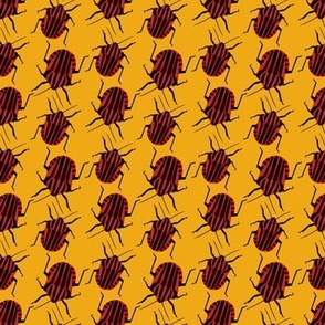 striped bug on yellow