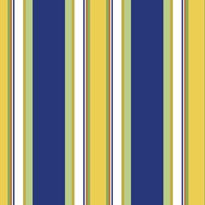 blue-stripe-18-ann-8