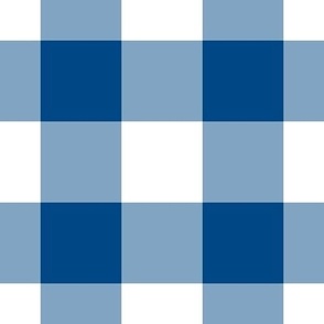 Jumbo Gingham Pattern - Blue and White