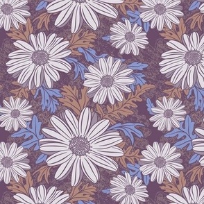 Dazzling Daisies - Lilac