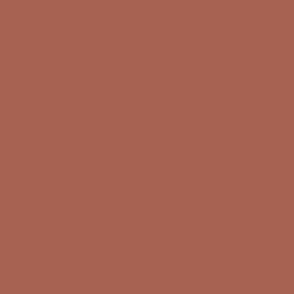 Rustic Sun Medium Red Solid Color Single Accent Shade / Hue Coordinates w/ Sherwin Williams Roycroft Adobe SW 0040