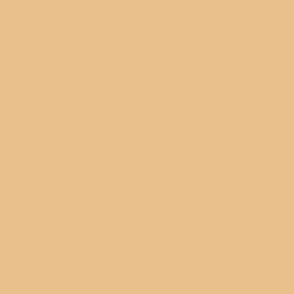 Warm Light Brown Solid Color Single Accent Shade / Hue Coordinates w/ Sherwin Williams Hubbard Squash SW 0044