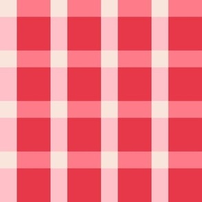Gingham Windowpane Plaid in Red and Pink
