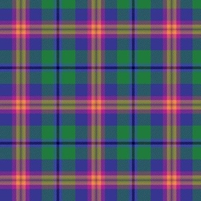 Young family tartan, 3"