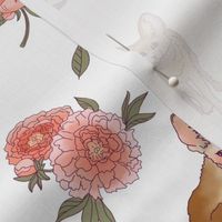 Fennec Foxes & Flora, White