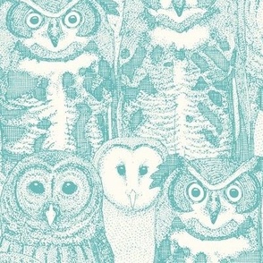 owls NC aqua