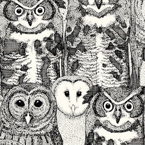 Black White Felt Owl Felt Sheets Stock Photo 695756032