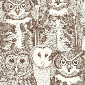 owls NC chocolate