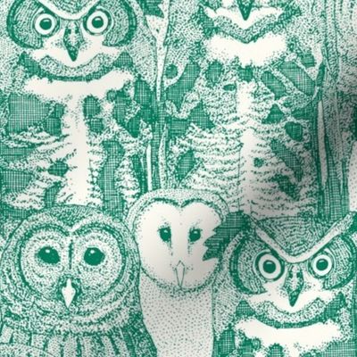 owls NC emerald green