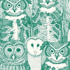 owls NC emerald green