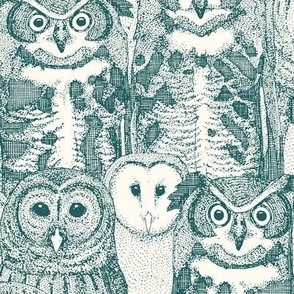 owls NC jade