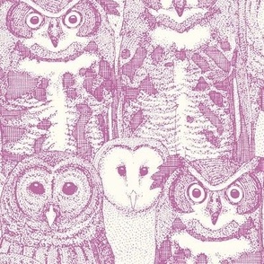 owls NC mulberry