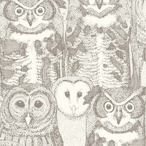 owls NC natural