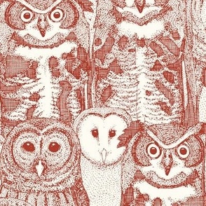 owls NC paprika
