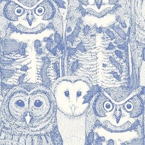 owls NC periwinkle light blue