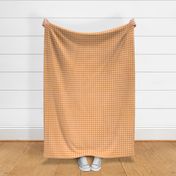 Retro Orange Gingham (pastel peach)