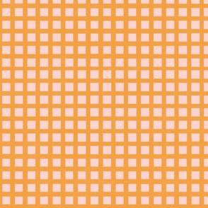 Retro Orange Gingham (pastel peach)