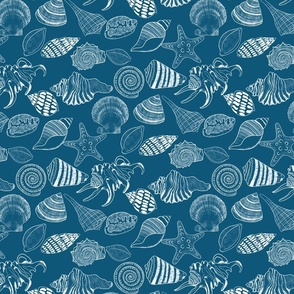 Seashells White Ocean Blue