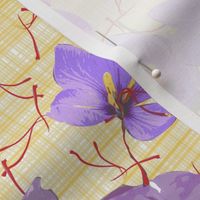 Saffron flowers on  tartan