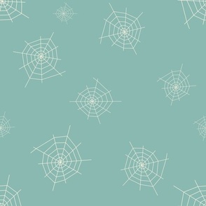 Spider web on turquoise