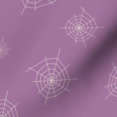 Spider web on purple