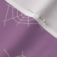 Spider web on purple